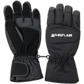 Whistler Slough Skihandschoenen