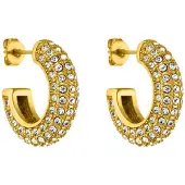 Purelei Oorbellen goud / transparant