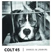 Cd Snakes & Ladders - Cd