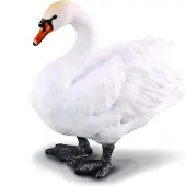 Collecta Figurine - Zwaan - (M)