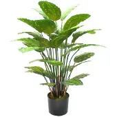 PrettyPlants Calathea Kunstplant 70cm | Kunstplant voor binnen | Hoogwaardige Kunstplant | Groene Kunstplant | Calathea Nepplant