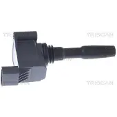 TRISCAN 8860 29065 Bobine