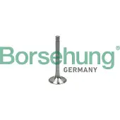 Borsehung B19000 Uitlaatklep