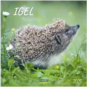 Korsch Verlag Egels - 2026