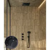 Saniclear Plus Stripes inbouw regendouche met inbouw douchekop 30x30cm zwart mat