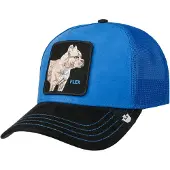 GOORIN BROS. Suede Pitbull Trucker Pet by Goorin Bros.