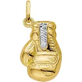 Vigor hanger bokshandschoen - Goud