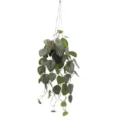 Buitengewoon Boet Kunstplant Peperomia Melon Hang - 90 cm