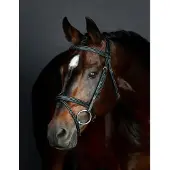 Collegiate Gewatteerde hanoverse zadelsportteugel Comfitec Opulux Fancy Stitch