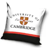 Carbotex Sierkussen Cambridge University 40x40 cm (inclusief vulling)