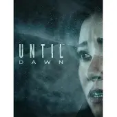 Until Dawn