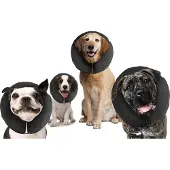 SmartaSaker Pro Collar