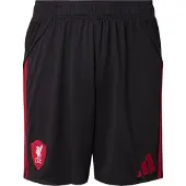 Adidas Sportbroek 'Liverpool FC 25/26' rood / zwart