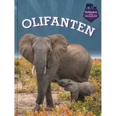CORONA Olifanten (Hardback)