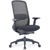 Ergofy Ergonomische bureaustoel Essential - 4d armleggers - Mesh netrug