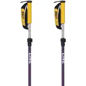 Line Paintbrush Stokken