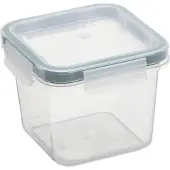 PLAST TEAM Vertriebs GmbH Plastic bewaardoos , 2,5 liter, groen.