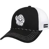 Capslab Semi Curved Super Mario Pet by
