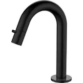 Regn Fonteinkraan Gebogen - Gunmetal Black PVD - Messing - Kranen, Fonteinkranen, Opbouw Fonteinkranen - 8720254161419