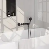 Brauer Stripe inbouw badkraan met 3 standen handdouche zwart mat