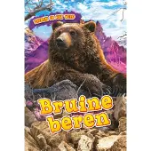 CORONA Bruine beren (Hardback)