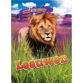 CORONA Leeuwen (Hardback)