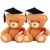 Keel Toys Pakket van 24x stuks pluche geslaagd knuffel beertjes 14 cm