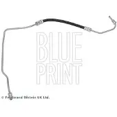 Blue Print ADBP530064 Remslang