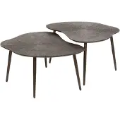 AnLi Style Salontafel set/2 Brown Ray Metal organisch