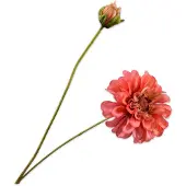 Silk-ka - Kunstbloem - zinnia - roze - H62 cm