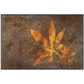 Kleen-Tex Wash+Dry Design Wasbare Deurmat - Herb Blend - 50 x 75cm