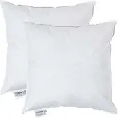 Homescapes kussenvullingen set van 2 – 50×50 cm – eendenveren binnenkussens – OEKO-TEX katoen – RDS-gecertificeerd – wasbaar