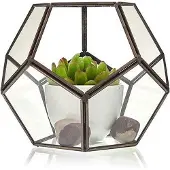 Awgifts Glazen terrarium - grote achthoek