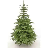 Triumph tree Kunstkerstboom Aurora - 119x119x185 cm - PVC - Groen