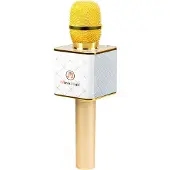 Technaxx BT-X31 Bluetooth luidspreker AUX, USB Goud, Wit