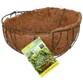 Kinzo Bloemenhangmand - Hangmand met Kokosvezel Inleg - Hangpot voor Bloemen en Planten - Hangende Bloempot - Plantenhanger Buiten - Ca. 31 x 31 x 17 cm