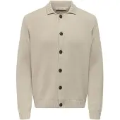 Only & Sons Gebreid vest 'ONSJacob' ecru