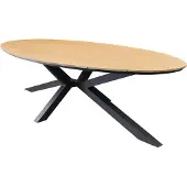 AVH-Collectie Salvador dining tuintafel ovaal 280x130xH75 cm polywood