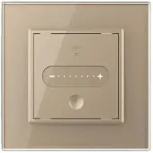 Livolo | Goud | SR | Slide-Dimmer | Wisselschakelaar | Smart Home -