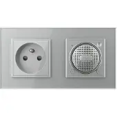 Livolo Bluetooth Speaker | Wandcontactdoos France | Grijs | .nl