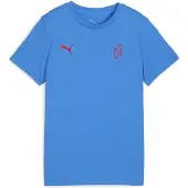 Puma Functioneel shirt blauw / rood