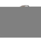 Fame Gigbag Antique Concert Ukulele Deluxe - Tas voor ukuleles