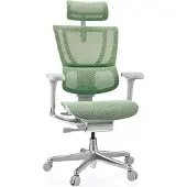 Hjh OFFICE Bureaustoel / Directiestoel ERGOHUMAN SLIM G GEN2 Netstof groen
