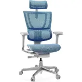 Hjh OFFICE Bureaustoel / Directiestoel ERGOHUMAN SLIM G GEN2 Netstof blauw