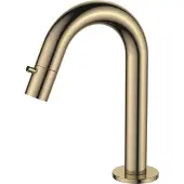 Regn Fonteinkraan Gebogen - Geborsteld Goud PVD - Messing - Kranen, Fonteinkranen, Opbouw Fonteinkranen - 8720254161426