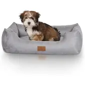 Knuffelwuff Hondenbed Dreamline van velours M-L 85 x 63cm grijs