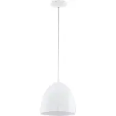 Eglo Sarabia Pro 62101