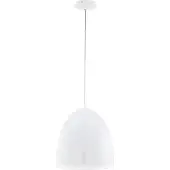 Eglo Sarabia Pro 62107