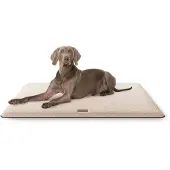 Knuffelwuff knuffelzachte hondenmat Calliope van teddystof 120x80 beige