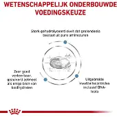 Royal Canin Anallergenic Hond